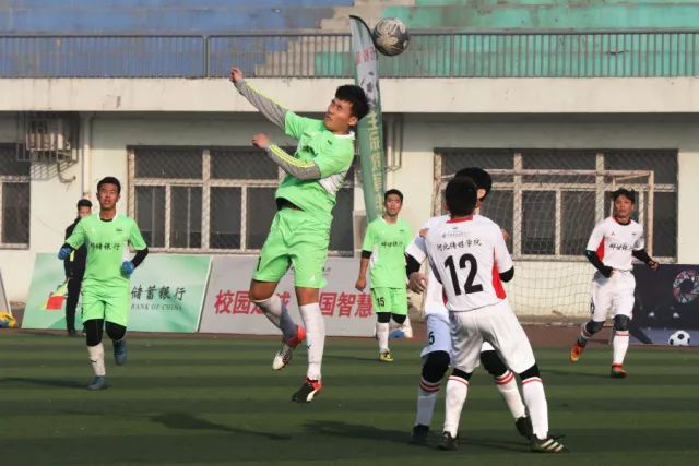 竞技宝应用下载